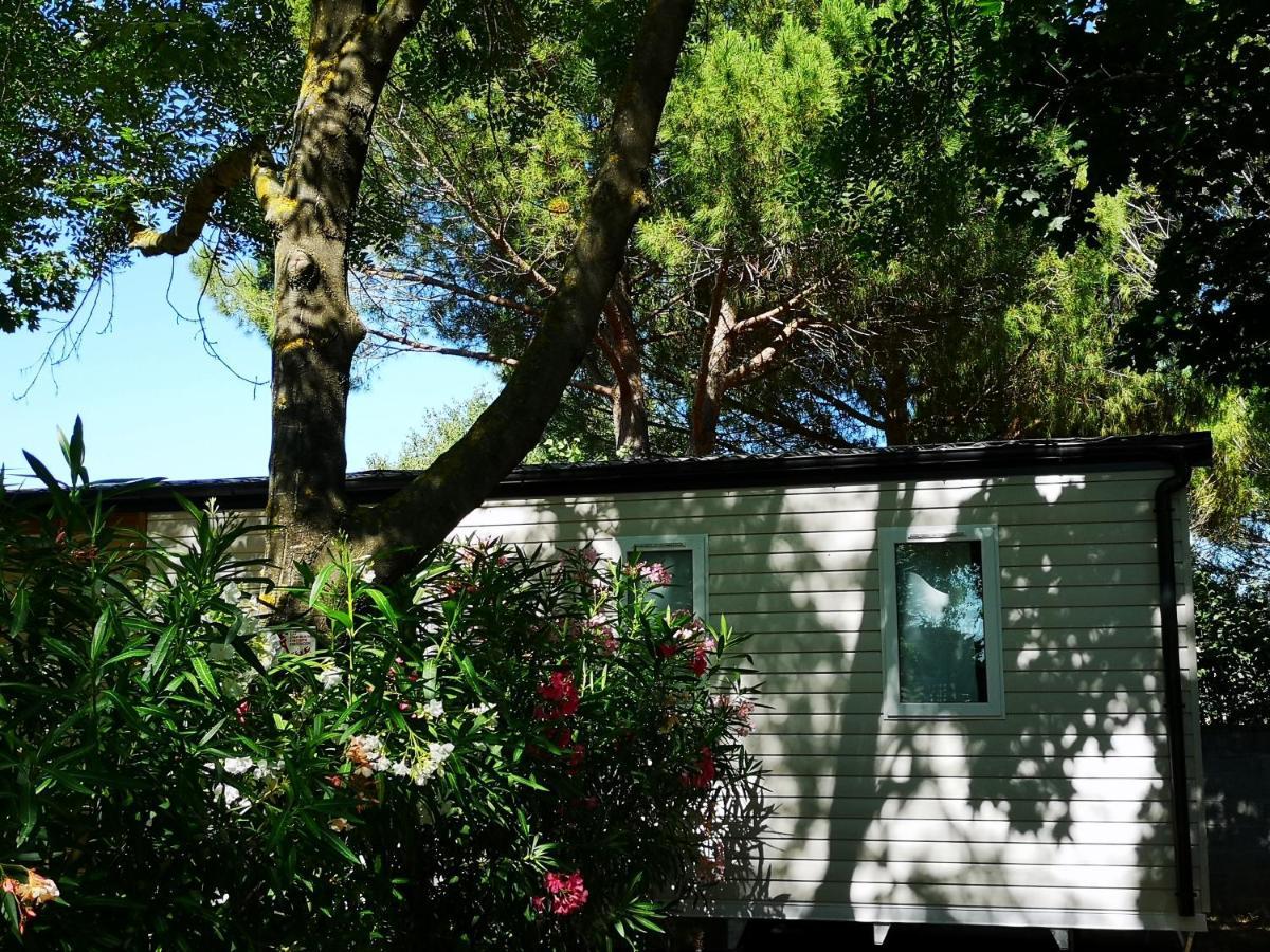 Campsite Le Fou Du Roi Lansargues