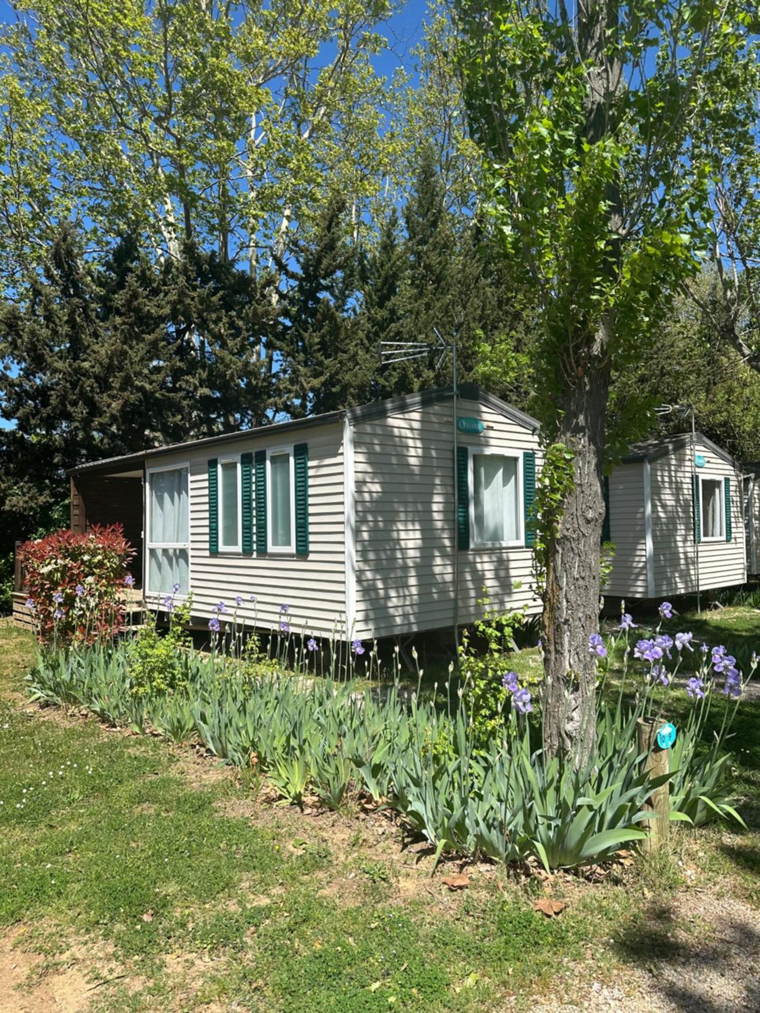 Campsite Le Fou Du Roi Lansargues